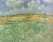 Vincent Van Gogh Plain near Auvers (nn04) France oil painting artist